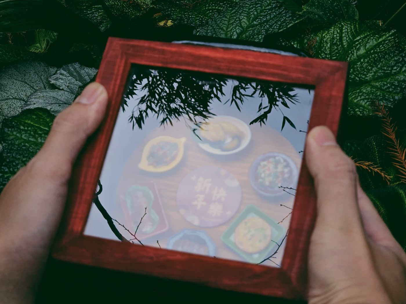 透過玻璃蓋望見盒中年菜，映著竹影